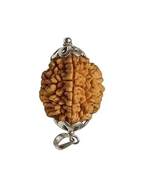 Two Face Rudraksha