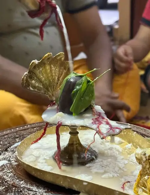 Rudrasbhishek Pooja (Single Pandit)